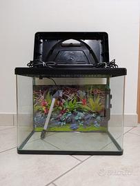 Acquario Billy 45 litri + accessori in foto 