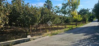 TER. AGRICOLO A PONTECAGNANO FAIANO