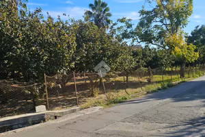 TER. AGRICOLO A PONTECAGNANO FAIANO