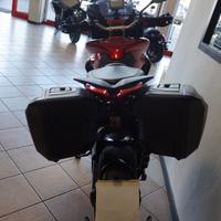 MV AGUSTA Turismo Veloce 800 LUSSO SCS
