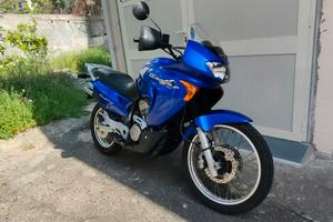 Honda Transalp XL 650 V 
