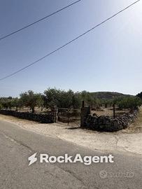 Terreno di 3500 m² a Florinas