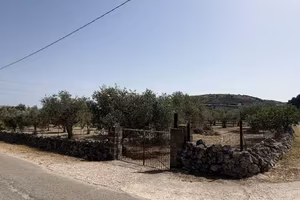 Terreno di 3500 m² a Florinas