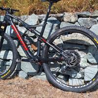 Specialized epic 29