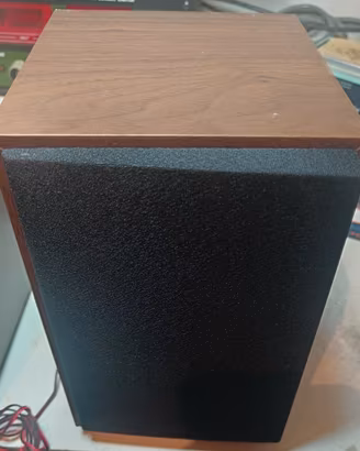 CASSE ACUSTICHE COMPATTE 10W 
