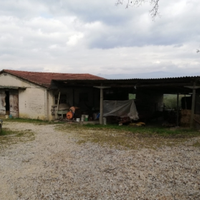 Terreno, oliveto e rustico