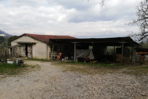 Terreno, oliveto e rustico