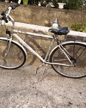 Bici da uomo