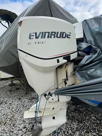 evinrude e-tec 175cv