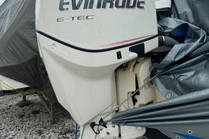 evinrude e-tec 175cv