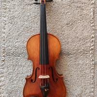 violino