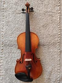 violino