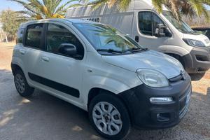 Panda  van 4x4 diesel unico proprietar fatturabile