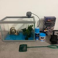 Acquario completo