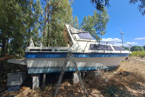 Barca cicala& bertinetti