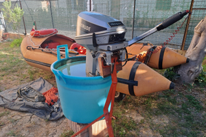 Motore marino evinrude 9.9 cv