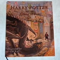 Libro Harry Potter and the Globet of Fire 