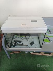 acquario 