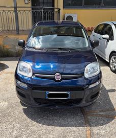 Fiat Panda 1.2 SOLO 34000 KM 5 POSTI GARANZIA