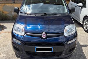 Fiat Panda 1.2 SOLO 34000 KM 5 POSTI GARANZIA