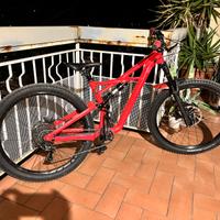 Bici da enduro Specialized Enduro Comp