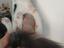 Immagine 6