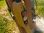 Immagine 4
