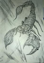 Disegno 