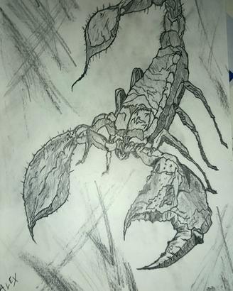 Disegno 