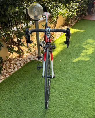 Pinarello
