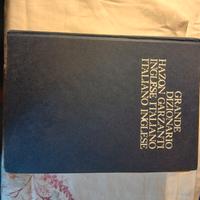 Grande dizionario Lingua Inglese