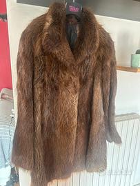 Pelliccia di castoro