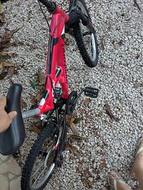 Bicicletta 