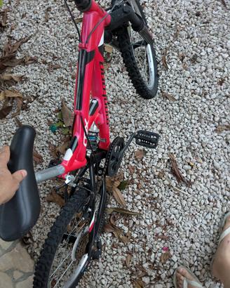 Bicicletta 
