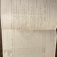 Jack Russell Terrier