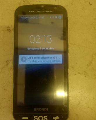 Cellulare amico brondi