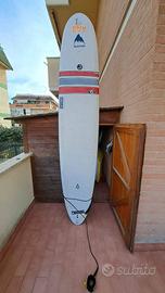 TAVOLA SURF Bic Nose Rider 9'4"