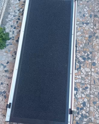 rampa per cani
