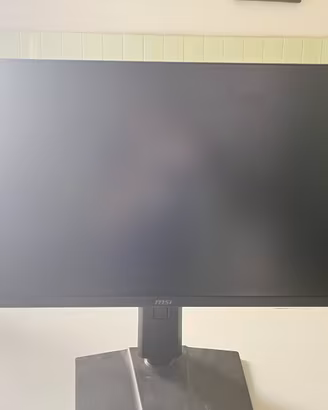 MSI G255PF E2 24,5" 180Hz Rapid IPS