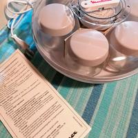 Yougurtiera Moulinex