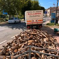 LEGNA DA ARDERE DI PRIMA SCELTA