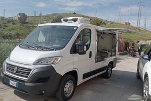 Ducato frigorifero