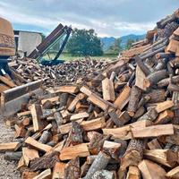 legna da ardere stagionata 