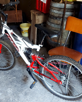 Bici per ragazzo