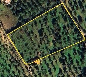 Terreno con fabbricato agricolo da ristrutturare