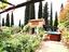 Immagine 21