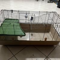 Gabbietta per coniglio nano