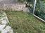 Immagine 9