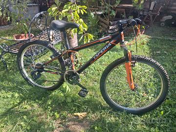Bicicletta MTB ragazzo