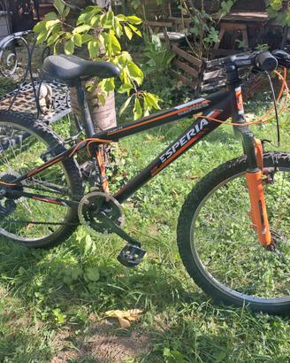 Bicicletta MTB ragazzo